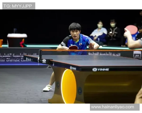 张本智和与波尔精彩对决全场回顾与分析