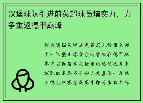 汉堡球队引进前英超球员增实力，力争重返德甲巅峰