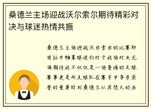 桑德兰主场迎战沃尔索尔期待精彩对决与球迷热情共振