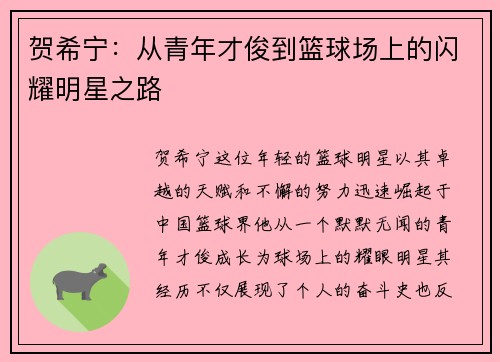 贺希宁：从青年才俊到篮球场上的闪耀明星之路