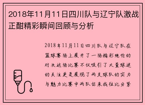 2018年11月11日四川队与辽宁队激战正酣精彩瞬间回顾与分析