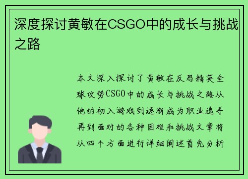 深度探讨黄敏在CSGO中的成长与挑战之路