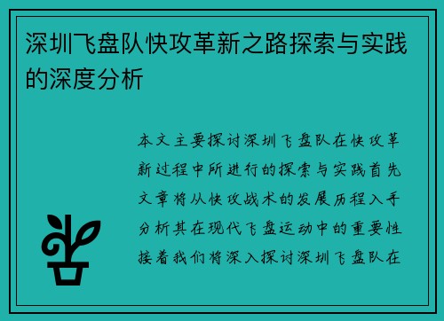 深圳飞盘队快攻革新之路探索与实践的深度分析